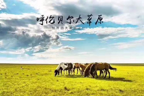 呼伦贝尔自由行自驾游全攻略 景点详解与户外运动策划