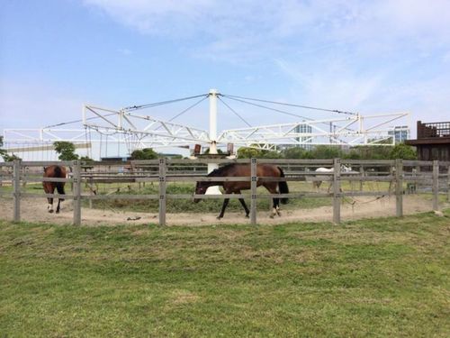 上海湾首届户外运动节暨2023海湾红叶节周边游玩攻略